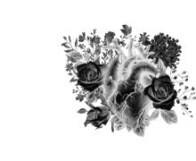 Fe
